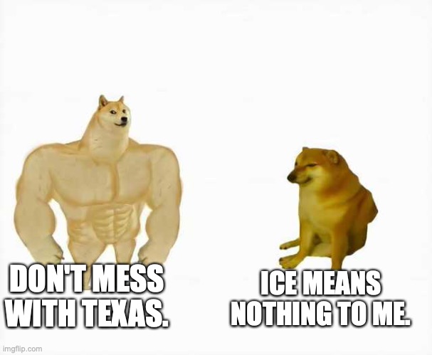 Two different dogs discuss the weather. | DON'T MESS WITH TEXAS. ICE MEANS NOTHING TO ME. | image tagged in strong dog vs weak dog | made w/ Imgflip meme maker