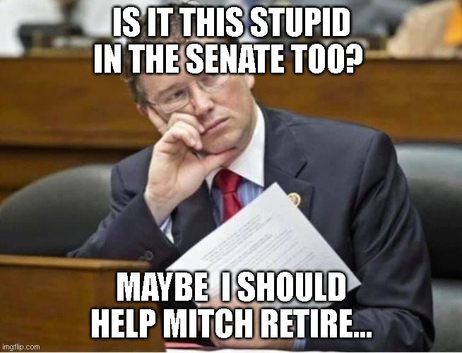 Thomas Massie | IS IT THIS STUPID IN THE SENATE TOO? MAYBE  I SHOULD HELP MITCH RETIRE... | image tagged in libertarian,conservative,mitch mcconnell | made w/ Imgflip meme maker