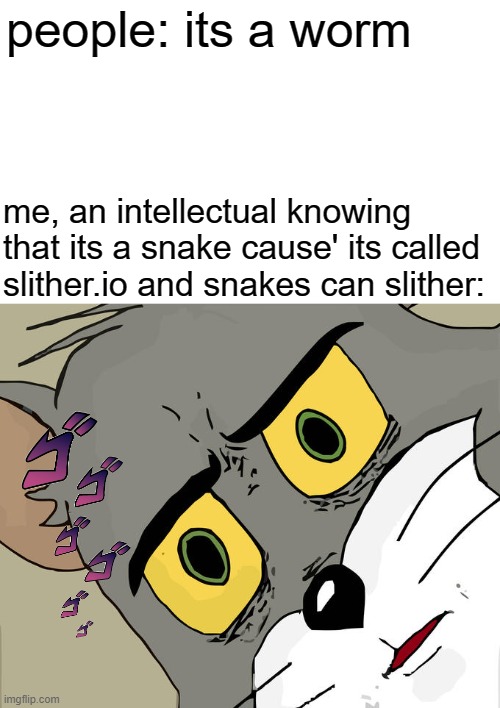 its a snake you idiots | people: its a worm; me, an intellectual knowing that its a snake cause' its called slither.io and snakes can slither: | image tagged in memes,unsettled tom | made w/ Imgflip meme maker