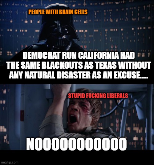 blackouts | PEOPLE WITH BRAIN CELLS; DEMOCRAT RUN CALIFORNIA HAD THE SAME BLACKOUTS AS TEXAS WITHOUT ANY NATURAL DISASTER AS AN EXCUSE..... STUPID FUCKING LIBERALS; NOOOOOOOOOOO | image tagged in memes,star wars no | made w/ Imgflip meme maker