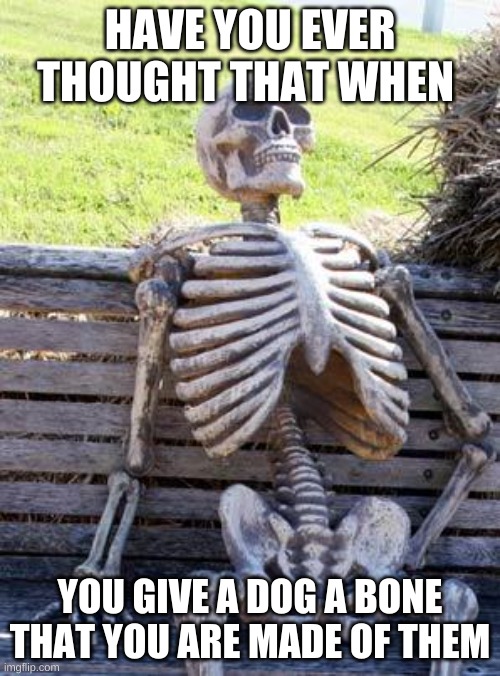 Waiting Skeleton | HAVE YOU EVER THOUGHT THAT WHEN; YOU GIVE A DOG A BONE THAT YOU ARE MADE OF THEM | image tagged in memes,waiting skeleton | made w/ Imgflip meme maker