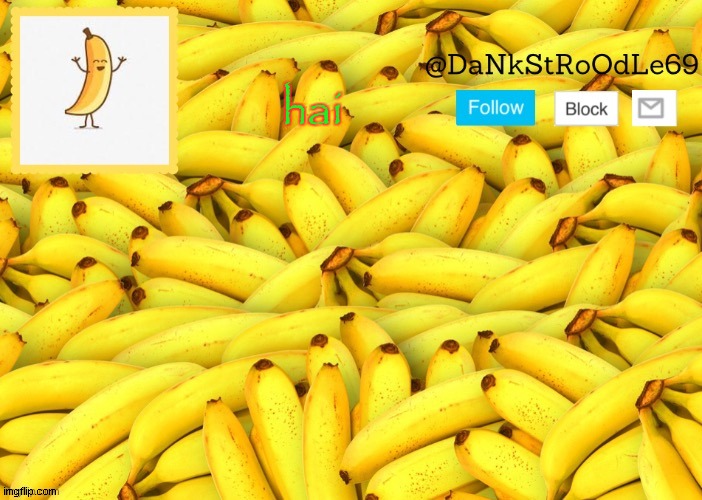 Banana template | hai | image tagged in banana template | made w/ Imgflip meme maker