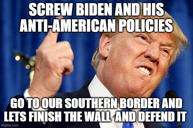 Donald Trump | SCREW BIDEN AND HIS ANTI-AMERICAN POLICIES; GO TO OUR SOUTHERN BORDER AND LETS FINISH THE WALL  AND DEFEND IT | image tagged in donald trump | made w/ Imgflip meme maker