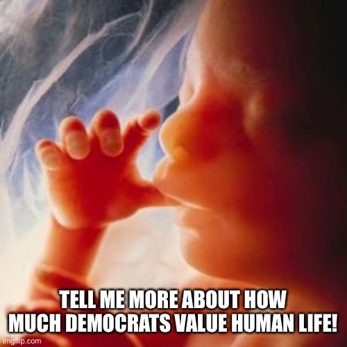 Fetus | TELL ME MORE ABOUT HOW MUCH DEMOCRATS VALUE HUMAN LIFE! | image tagged in fetus | made w/ Imgflip meme maker