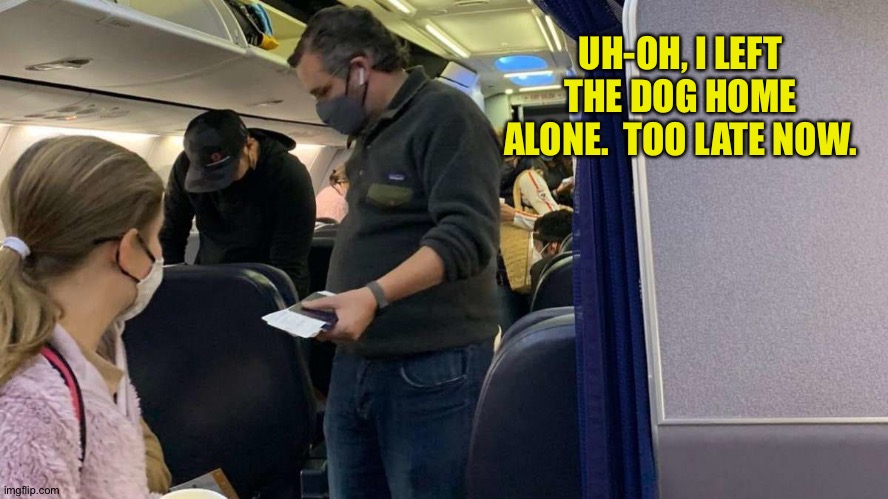 Not really.  Just feeding the trolls. | UH-OH, I LEFT THE DOG HOME ALONE.  TOO LATE NOW. | image tagged in ted cruz cancun | made w/ Imgflip meme maker