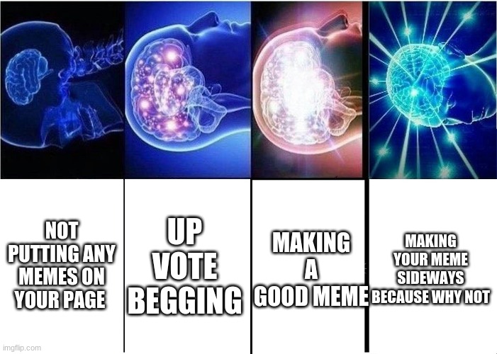 Its pretty big brain I know | NOT PUTTING ANY MEMES ON YOUR PAGE; UP VOTE BEGGING; MAKING YOUR MEME SIDEWAYS BECAUSE WHY NOT; MAKING A GOOD MEME | image tagged in memes,expanding brain | made w/ Imgflip meme maker