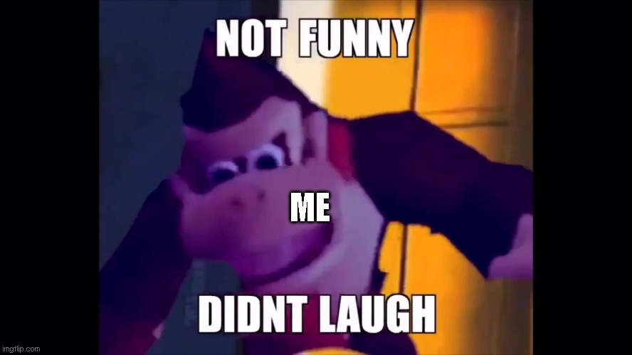 Not funny didn't laugh | ME | image tagged in not funny didn't laugh | made w/ Imgflip meme maker
