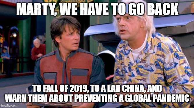 Back to the Future | MARTY, WE HAVE TO GO BACK; TO FALL OF 2019, TO A LAB CHINA, AND WARN THEM ABOUT PREVENTING A GLOBAL PANDEMIC | image tagged in back to the future | made w/ Imgflip meme maker