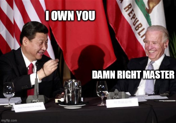 Xi-Biden | I OWN YOU; DAMN RIGHT MASTER | image tagged in xi-biden | made w/ Imgflip meme maker