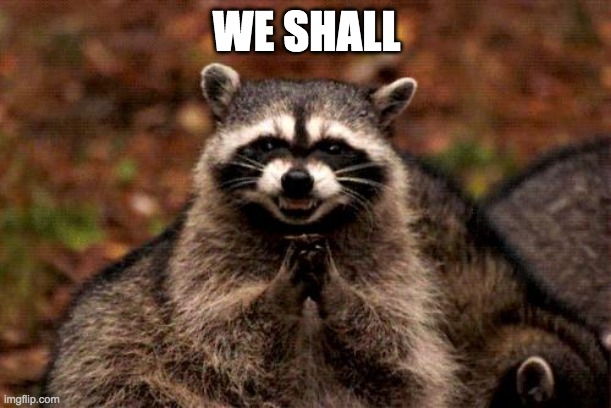 Evil Plotting Raccoon Meme | WE SHALL | image tagged in memes,evil plotting raccoon | made w/ Imgflip meme maker