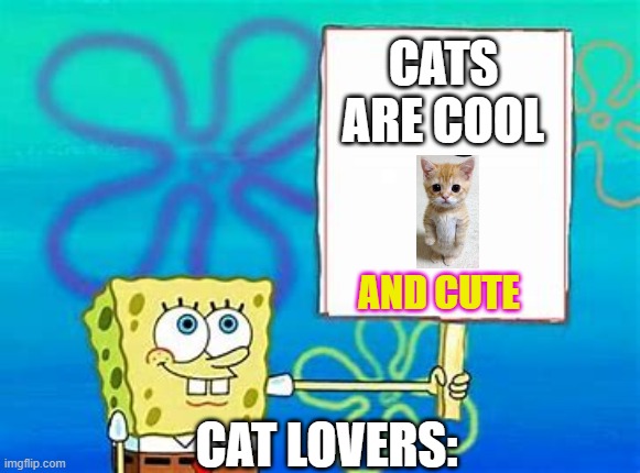 Cats are cute and cool | CATS ARE COOL; AND CUTE; CAT LOVERS: | image tagged in spongebob sign,cats,funny,memes,spongebob | made w/ Imgflip meme maker