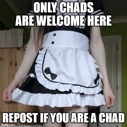 only chads are welcome here | ONLY CHADS ARE WELCOME HERE; REPOST IF YOU ARE A CHAD | image tagged in memes | made w/ Imgflip meme maker