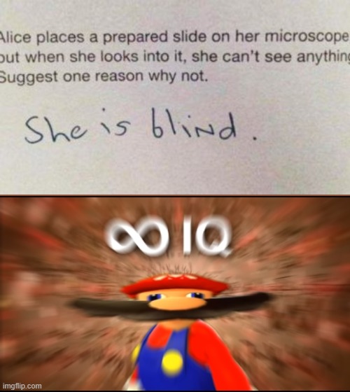 I mean he isn't wrong. | image tagged in infinity iq mario,oh wow are you actually reading these tags,memes | made w/ Imgflip meme maker