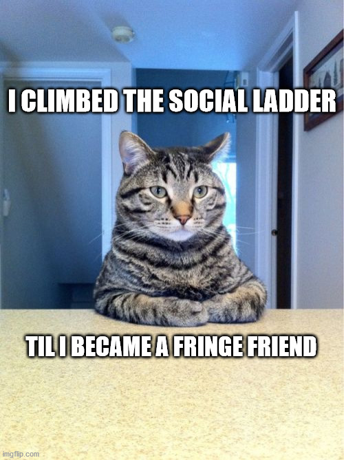 Take A Seat Cat |  I CLIMBED THE SOCIAL LADDER; TIL I BECAME A FRINGE FRIEND | image tagged in memes,take a seat cat | made w/ Imgflip meme maker