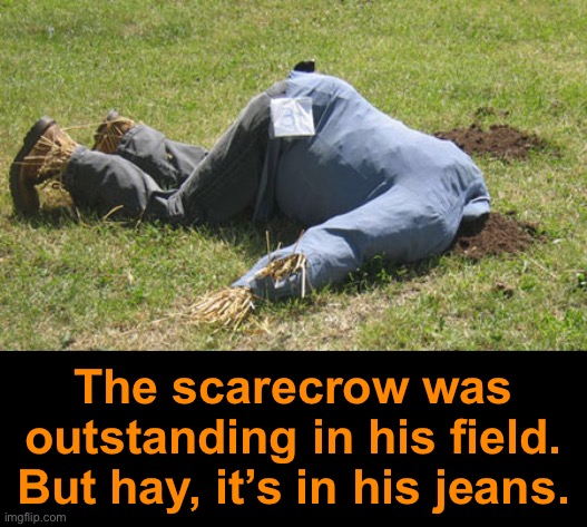 Field Work | The scarecrow was outstanding in his field. But hay, it’s in his jeans. | image tagged in funny memes,dad jokes,eyeroll | made w/ Imgflip meme maker