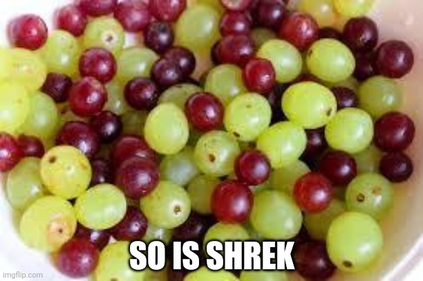 Grapes... | SO IS SHREK | image tagged in grapes | made w/ Imgflip meme maker