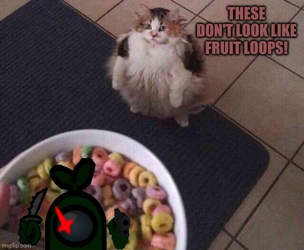 Fruit Loops | THESE DON'T LOOK LIKE FRUIT LOOPS! | image tagged in fruit loops | made w/ Imgflip meme maker