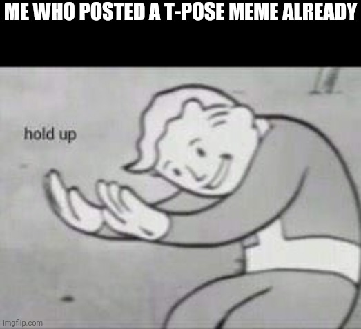 Fallout Hold Up | ME WHO POSTED A T-POSE MEME ALREADY | image tagged in fallout hold up | made w/ Imgflip meme maker