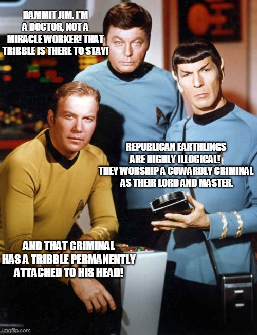 Illogical Republicans & Lord Trump | DAMMIT JIM. I'M A DOCTOR, NOT A MIRACLE WORKER! THAT TRIBBLE IS THERE TO STAY! REPUBLICAN EARTHLINGS ARE HIGHLY ILLOGICAL! 
THEY WORSHIP A COWARDLY CRIMINAL  AS THEIR LORD AND MASTER. AND THAT CRIMINAL HAS A TRIBBLE PERMANENTLY ATTACHED TO HIS HEAD! | image tagged in star trek,trump,maga,2020,republicans,trump2024 | made w/ Imgflip meme maker