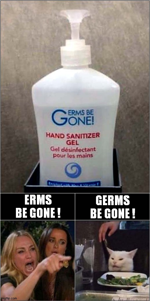 Woman Yelling At Cat Over Sanitizer | GERMS BE GONE ! ERMS BE GONE ! | image tagged in woman yelling at cat,sanitizer | made w/ Imgflip meme maker