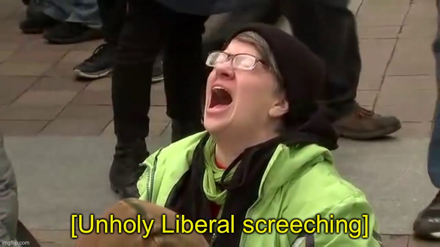Screetching woman | [Unholy Liberal screeching] | image tagged in screetching woman | made w/ Imgflip meme maker
