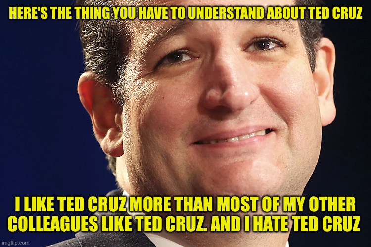 And this was one of the nicer quotes about him by his co-senators | HERE'S THE THING YOU HAVE TO UNDERSTAND ABOUT TED CRUZ; I LIKE TED CRUZ MORE THAN MOST OF MY OTHER COLLEAGUES LIKE TED CRUZ. AND I HATE TED CRUZ | image tagged in ted cruz | made w/ Imgflip meme maker