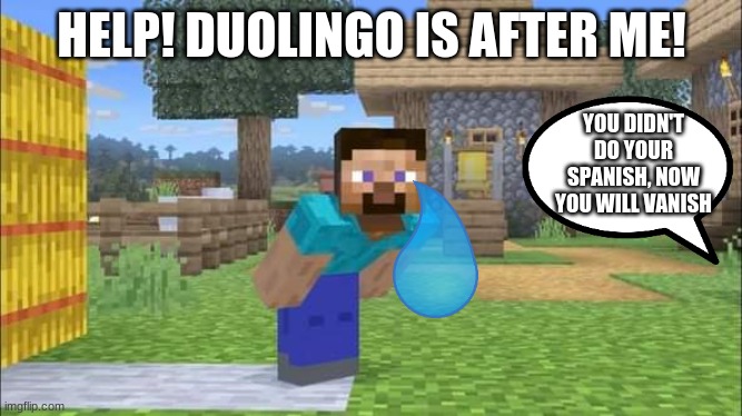 Steve is being chased by Duo |  HELP! DUOLINGO IS AFTER ME! YOU DIDN'T DO YOUR SPANISH, NOW YOU WILL VANISH | image tagged in steve looking at screen,duolingo | made w/ Imgflip meme maker
