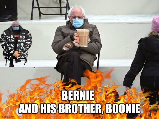 why | AND HIS BROTHER, BOONIE; BERNIE | image tagged in bernie sanders | made w/ Imgflip meme maker