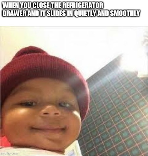Just had this moment | WHEN YOU CLOSE THE REFRIGERATOR DRAWER AND IT SLIDES IN QUIETLY AND SMOOTHLY | image tagged in satisfied baby | made w/ Imgflip meme maker