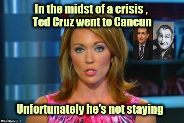 Send them all on a Permanent Vacation | In the midst of a crisis , 
Ted Cruz went to Cancun; Unfortunately he's not staying | image tagged in real news network,politicians suck,alright gentlemen we need a new idea,new world order,best better blurst | made w/ Imgflip meme maker