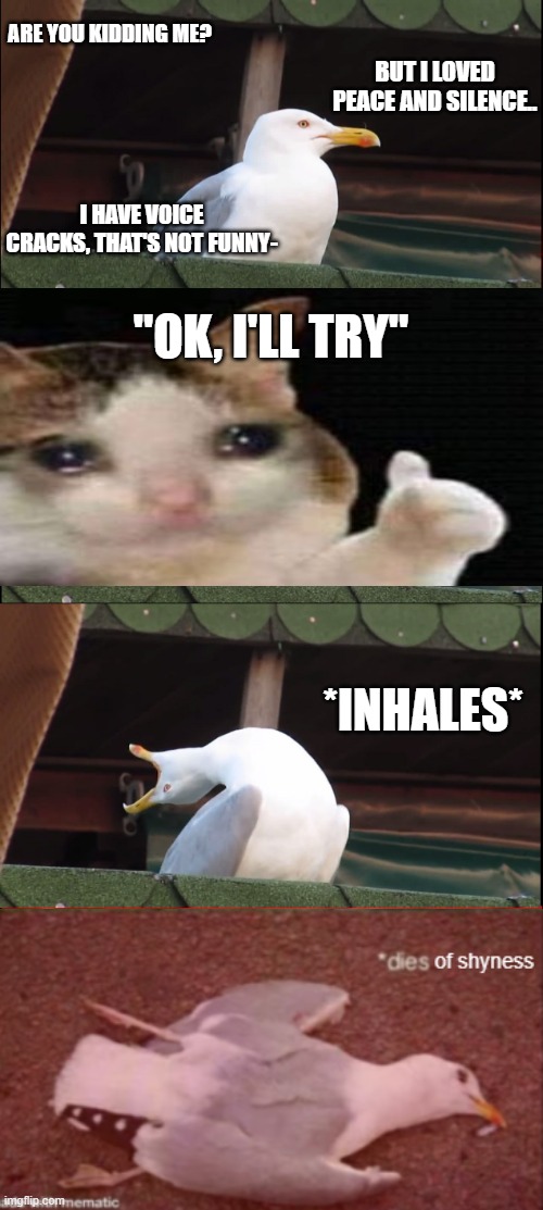 When the teacher asks me to read in a higher voice: | ARE YOU KIDDING ME? BUT I LOVED PEACE AND SILENCE.. I HAVE VOICE CRACKS, THAT'S NOT FUNNY-; "OK, I'LL TRY"; *INHALES* | image tagged in memes,inhaling seagull | made w/ Imgflip meme maker