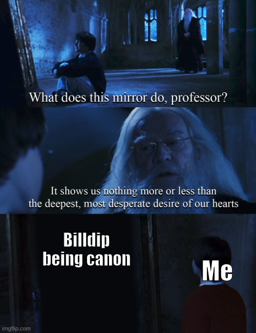 Harry potter mirror | Billdip being canon; Me | image tagged in harry potter mirror | made w/ Imgflip meme maker