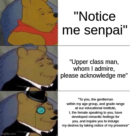 Tuxedo Winnie the Pooh (3 panel) | "Notice me senpai"; "Upper class man, whom I admire, please acknowledge me"; "To you, the gentleman within my age group, and grade range at our educational institute, I, the female speaking to you, have developed romantic feelings for you, and inquire you to indulge my desires by taking notice of my presence" | image tagged in tuxedo winnie the pooh 3 panel | made w/ Imgflip meme maker