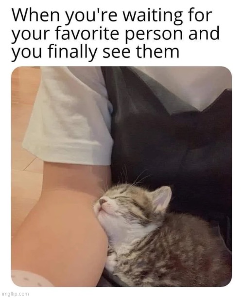 6th Reddit post go brrr | made w/ Imgflip meme maker