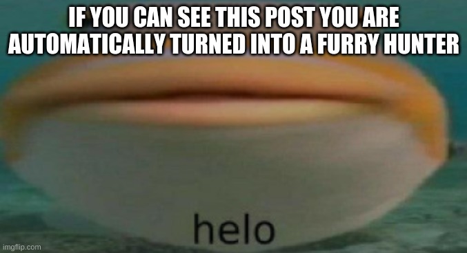 helo | IF YOU CAN SEE THIS POST YOU ARE AUTOMATICALLY TURNED INTO A FURRY HUNTER | image tagged in helo | made w/ Imgflip meme maker