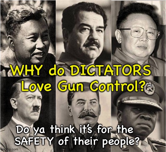 Gun Control | WHY do DICTATORS 
Love Gun Control? MRA; Do ya think it’s for the 
SAFETY of their people? | image tagged in gun control | made w/ Imgflip meme maker