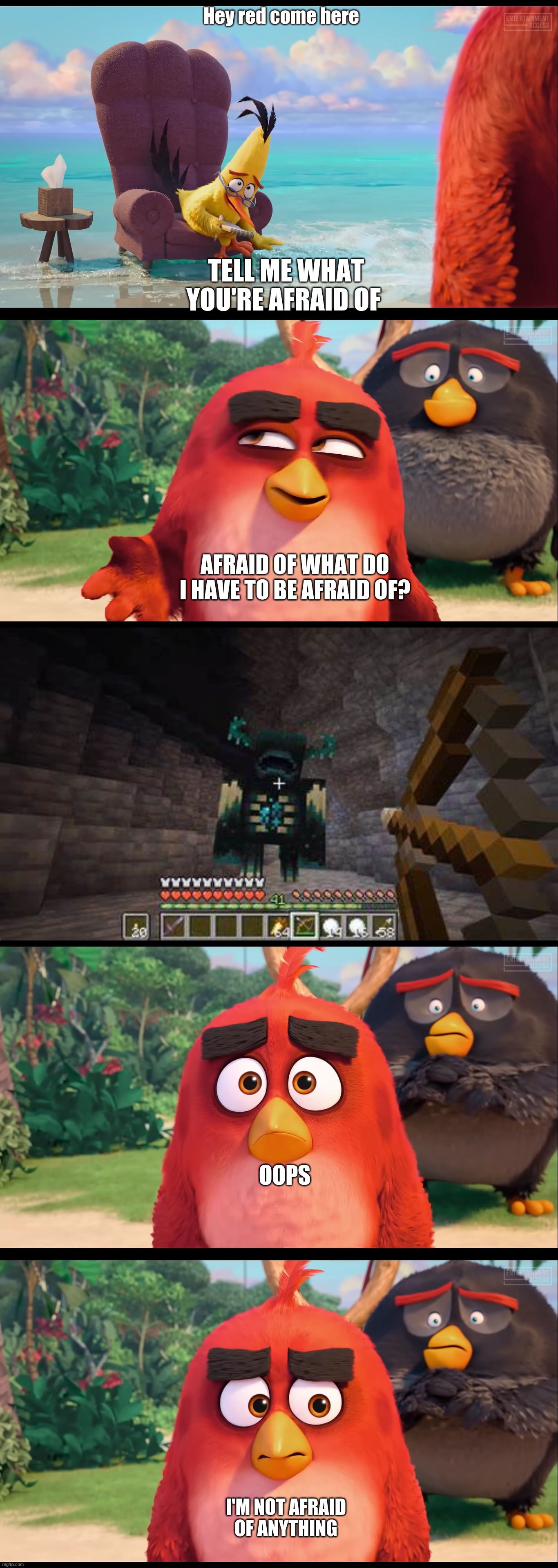 What are you afraid of? | Hey red come here; TELL ME WHAT YOU'RE AFRAID OF; AFRAID OF WHAT DO I HAVE TO BE AFRAID OF? OOPS; I'M NOT AFRAID OF ANYTHING | image tagged in angry birds,minecraft | made w/ Imgflip meme maker