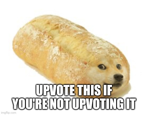 Breb Doge | UPVOTE THIS IF YOU'RE NOT UPVOTING IT | image tagged in breb doge | made w/ Imgflip meme maker