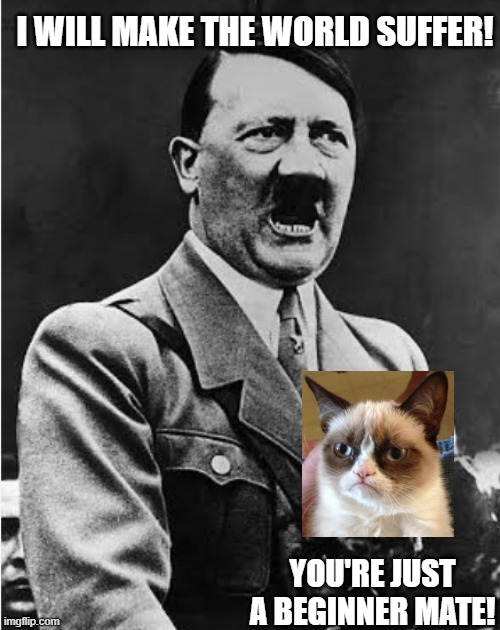 Hitler Vs Grumpy Cat | I WILL MAKE THE WORLD SUFFER! YOU'RE JUST A BEGINNER MATE! | image tagged in hitler | made w/ Imgflip meme maker