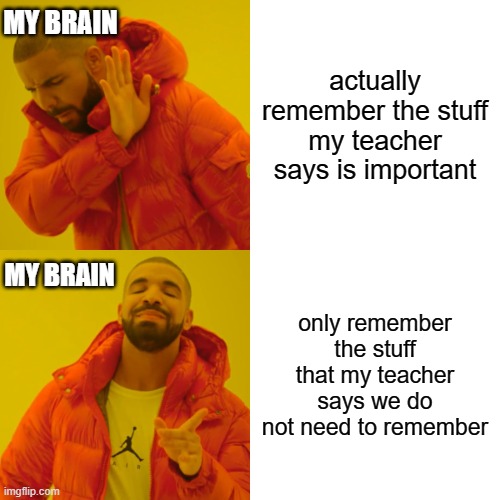 I hate my brain | MY BRAIN; actually remember the stuff my teacher says is important; MY BRAIN; only remember the stuff that my teacher says we do not need to remember | image tagged in memes,drake hotline bling,adhd | made w/ Imgflip meme maker