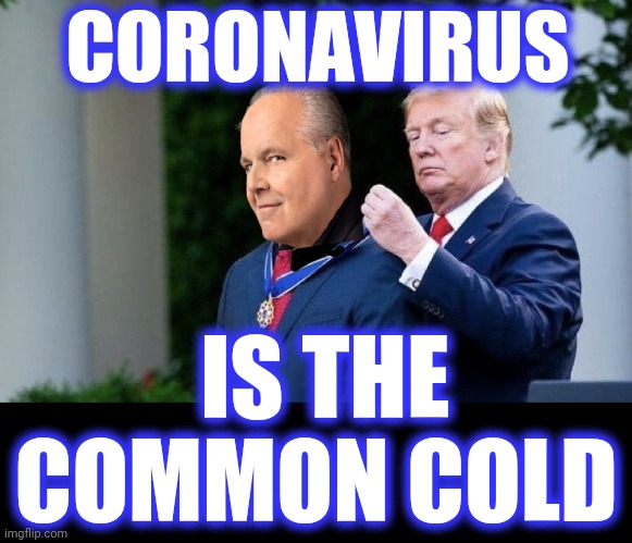 Trump Medal | CORONAVIRUS IS THE
COMMON COLD | image tagged in trump medal | made w/ Imgflip meme maker