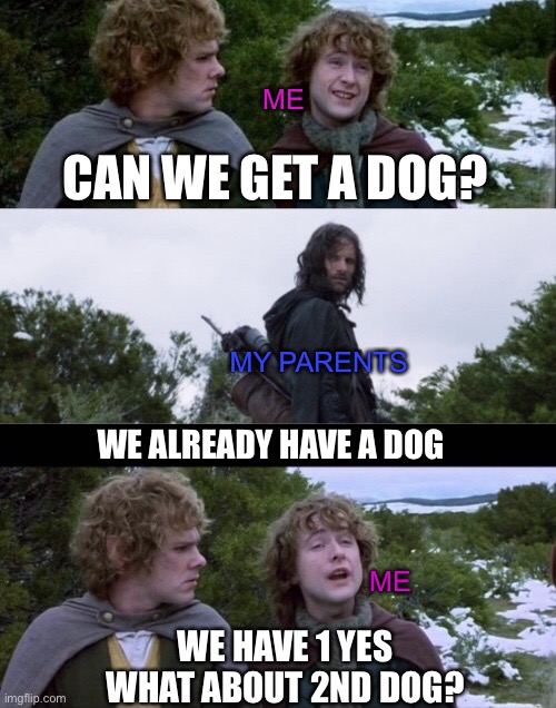 I now have 2 | ME; CAN WE GET A DOG? MY PARENTS; WE ALREADY HAVE A DOG; ME; WE HAVE 1 YES
WHAT ABOUT 2ND DOG? | image tagged in pippin second breakfast,pippin,merry,aragorn,dog | made w/ Imgflip meme maker