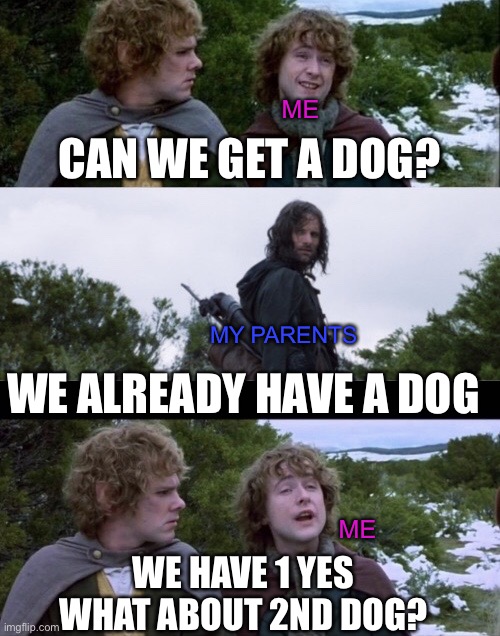 1 is not enough | ME; CAN WE GET A DOG? MY PARENTS; WE ALREADY HAVE A DOG; ME; WE HAVE 1 YES
WHAT ABOUT 2ND DOG? | image tagged in pippin second breakfast,lord of the rings,can we get a dog,2nd dog,dogs | made w/ Imgflip meme maker