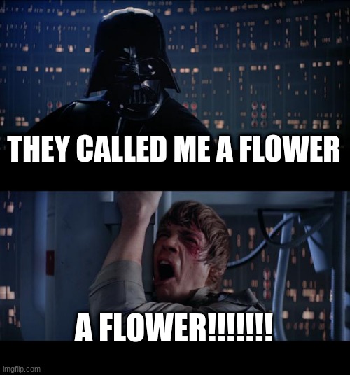 flower | THEY CALLED ME A FLOWER; A FLOWER!!!!!!! | image tagged in memes,star wars no | made w/ Imgflip meme maker