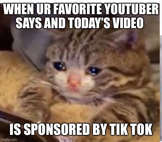 WHEN UR FAVORITE YOUTUBER SAYS AND TODAY’S VIDEO; IS SPONSORED BY TIK TOK | image tagged in tik tok sucks | made w/ Imgflip meme maker