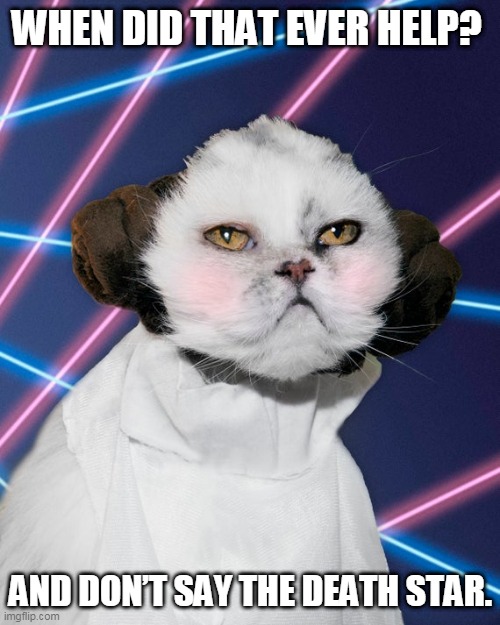WHEN DID THAT EVER HELP? AND DON’T SAY THE DEATH STAR. | image tagged in may the 4th,princess leia,star wars,cat,catnip,may the fourth be with you | made w/ Imgflip meme maker