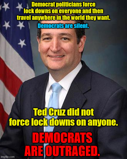 Democrat hypocrisy.  Leftists riot all summer long.  Dems silent.  A few people riot at Capitol for an hour.  Dems OUTRAGED. | Democrat politicians force lock downs on everyone and then travel anywhere in the world they want. Democrats are silent. Ted Cruz did not force lock downs on anyone. DEMOCRATS ARE OUTRAGED. | image tagged in ted cruz,democrat hypocrisy,double standard | made w/ Imgflip meme maker
