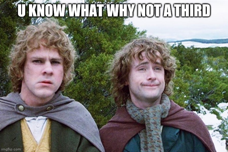 hobbits | U KNOW WHAT WHY NOT A THIRD | image tagged in hobbits | made w/ Imgflip meme maker