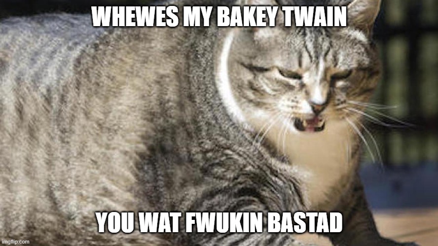 WHEWES MY BAKEY TWAIN; YOU WAT FWUKIN BASTAD | made w/ Imgflip meme maker