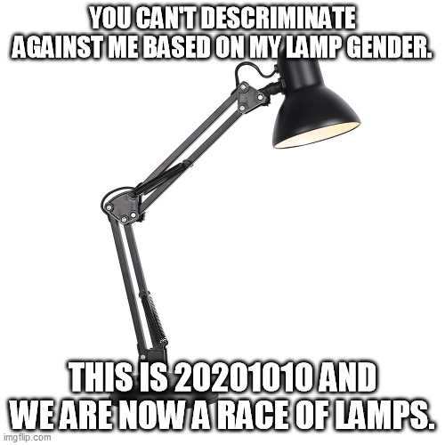 YOU CAN'T DESCRIMINATE AGAINST ME BASED ON MY LAMP GENDER. THIS IS 20201010 AND WE ARE NOW A RACE OF LAMPS. | image tagged in memes | made w/ Imgflip meme maker